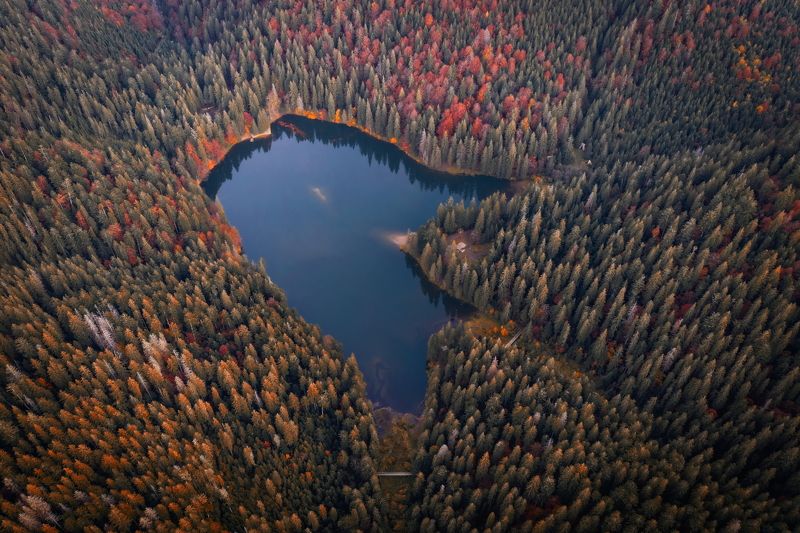 synevyr, lake, ukraine, transcarpathia, autumn, 2022, sunset, trees, water, синевир, озеро, закарпатье, украина, осень, закат, деревья, вода, aerial, drone, аэросъемка, аэрофотосъемка Synevyrphoto preview