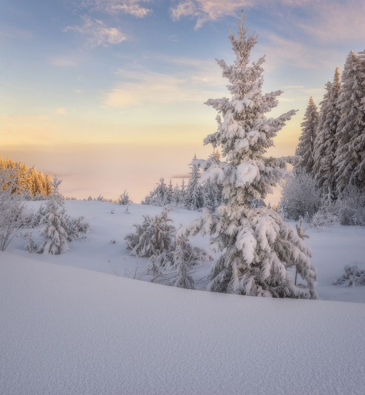 В снежном безмолвииphoto preview