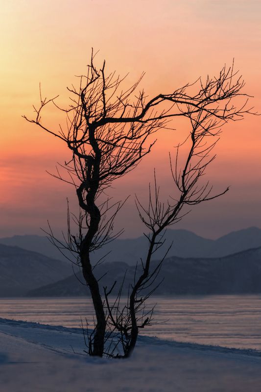 В свете закатаphoto preview