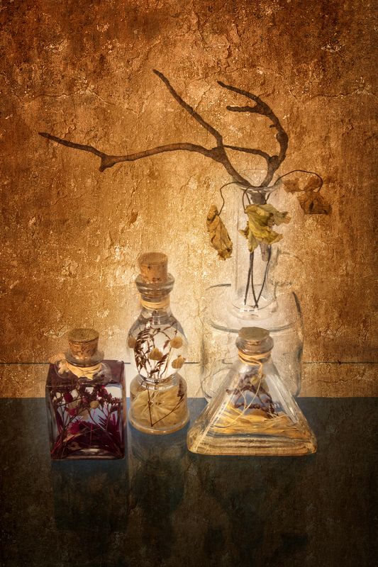 branch, bottle, bottles, color, colors, color image, decorative, dry, feeling, geranium, leaf, leaves, photograph, photography, still life, tranquility, Feeling of Tranquilityphoto preview