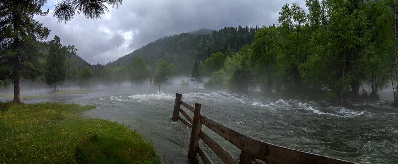 горный, алтай, бия, весна, река, наводнение Большая водаphoto preview