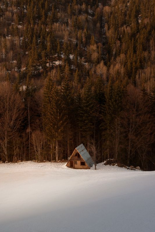 Из лесаphoto preview