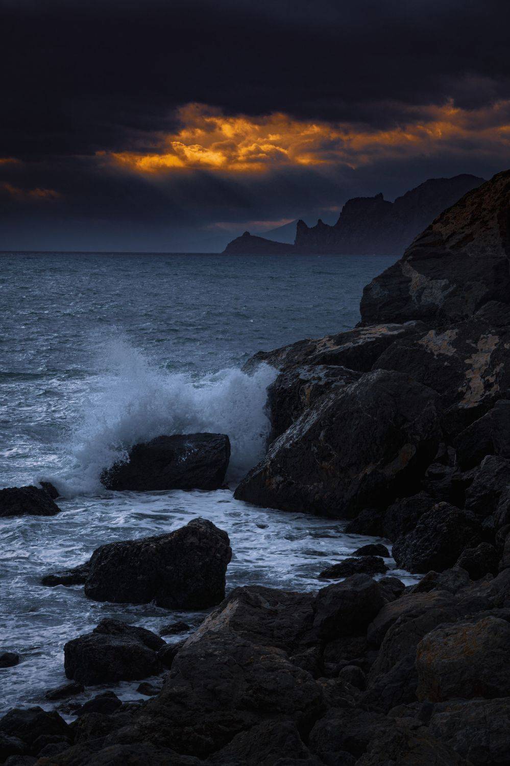 , Андрей Кривцов