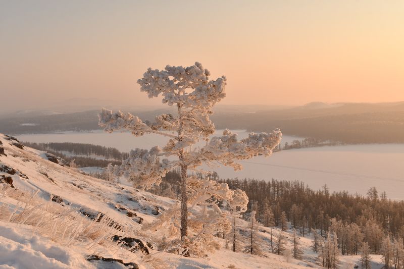 Утро на горе Калканphoto preview