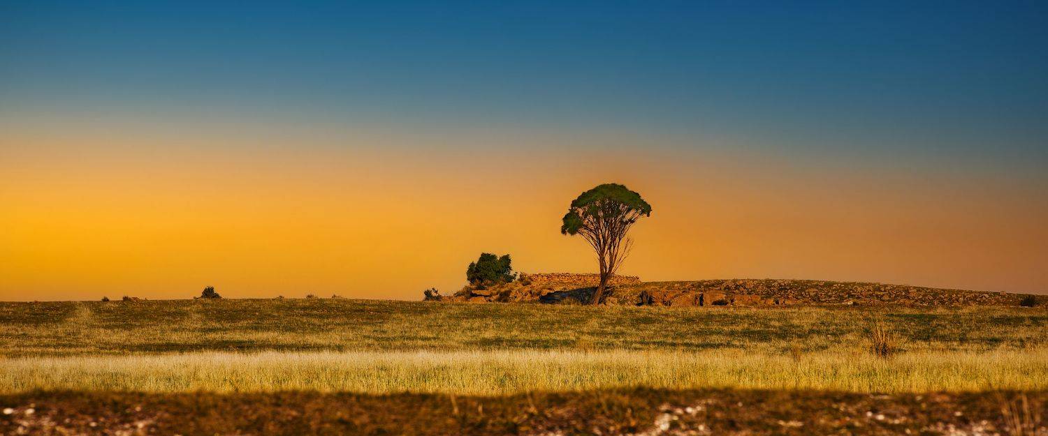 landscape, ruins, field, grass, sunset, tasmania, australia, trees, rocks, Victoria Shamrock