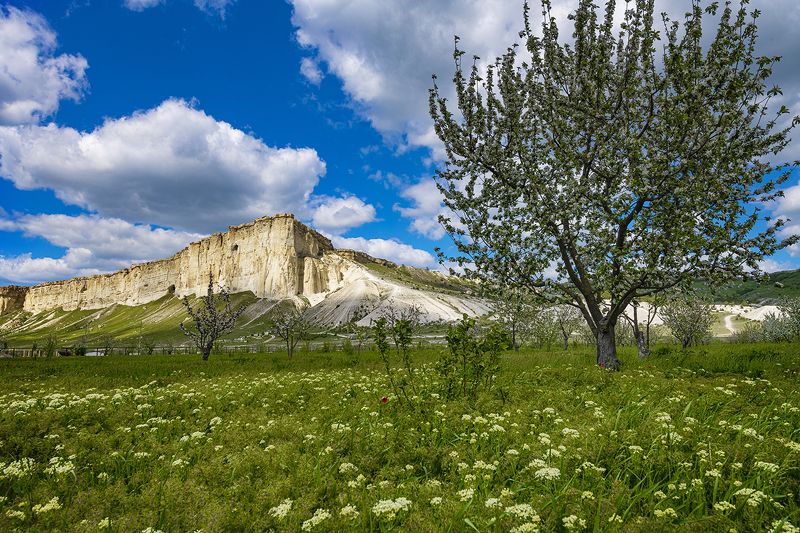 Белая скалаphoto preview