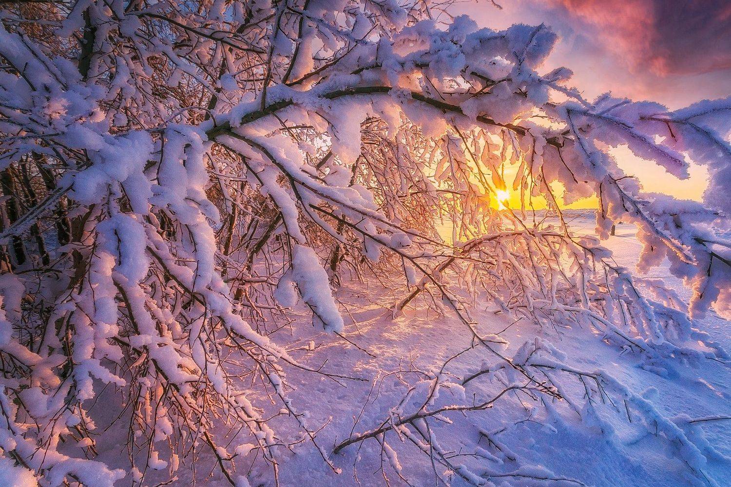 Зимняя стужа. Автор: Павел Сагайдак , Павел Сагайдак