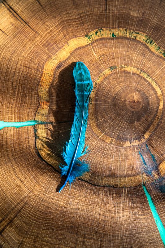 перья, дерево, фактуры Бирюзовоеphoto preview