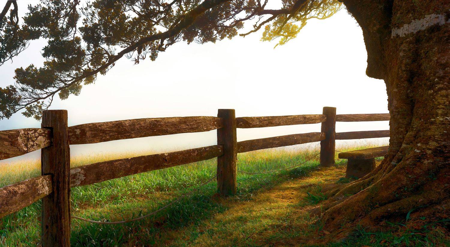 nature, sunrise, australia, landscape, queensland, trees, grass, morning, mist, fence,, Victoria Shamrock