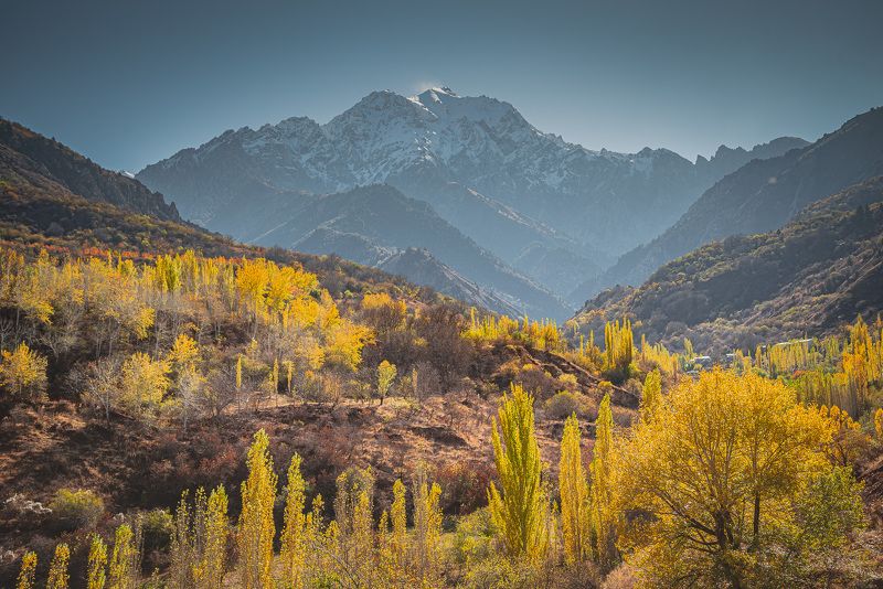 узбекистан, чимган photo preview