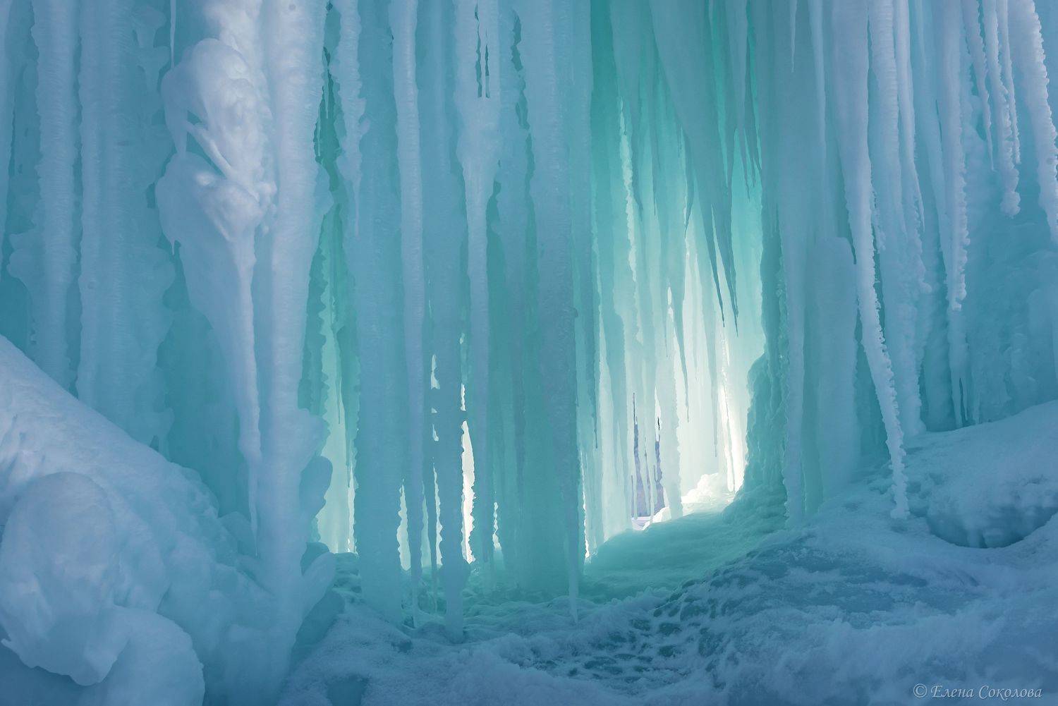 Магия льда. Автор: Соколова Елена ледопад, лед. голубой лед, сосульки, зима, Соколова Елена