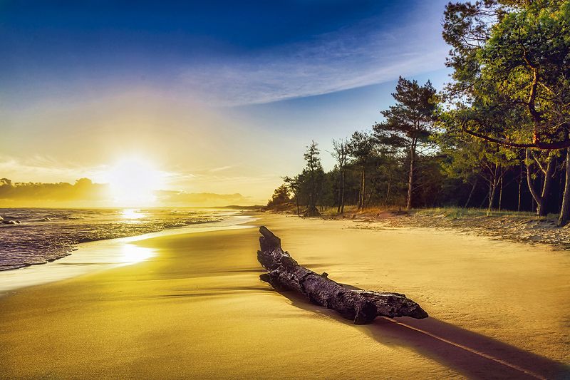beach, see, tree, water ...photo preview