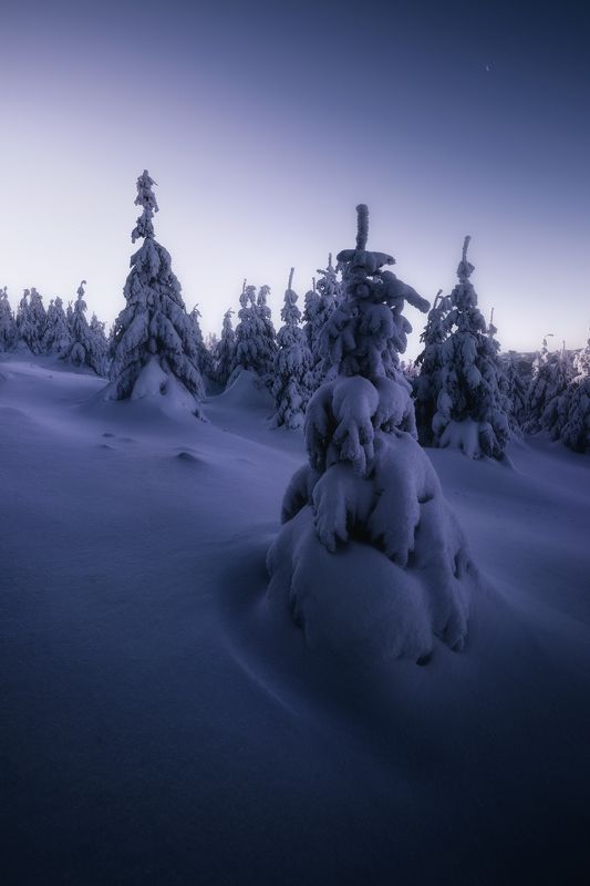 #slovakia #nikon #velkychoc #manfroto  Winter sculptures photo preview