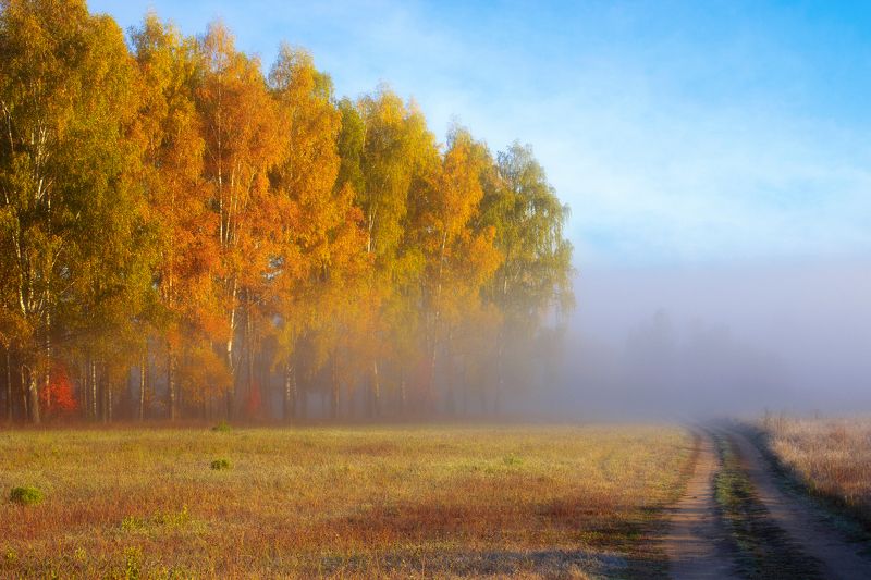 Осенняя дорогаphoto preview