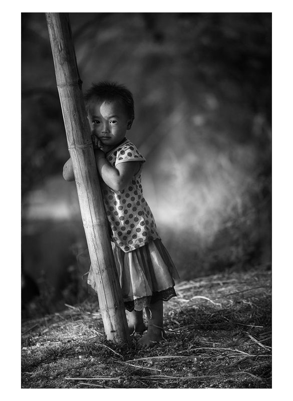 рис, вьетнам, образ, люди, терраса, фотопроект, фототур, выставка, фильм, art Rice&Icon of Vietnamphoto preview