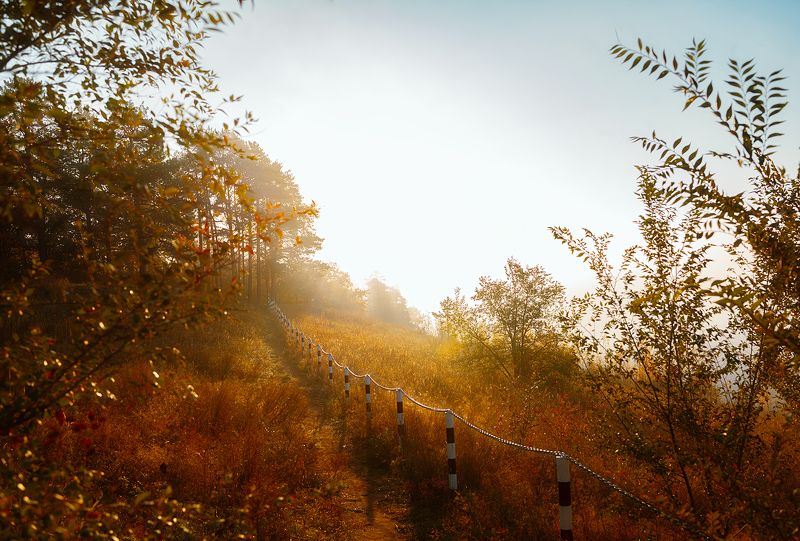 Осеннее утроphoto preview