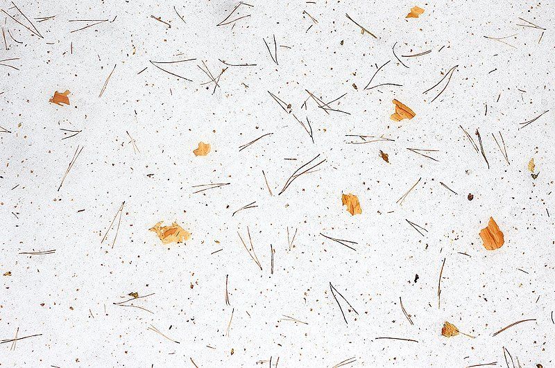 абстракция, белый, зима, иголочки, кора, снег, сосна Иголочкиphoto preview