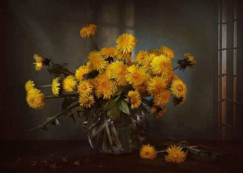 С одуванчикамиphoto preview