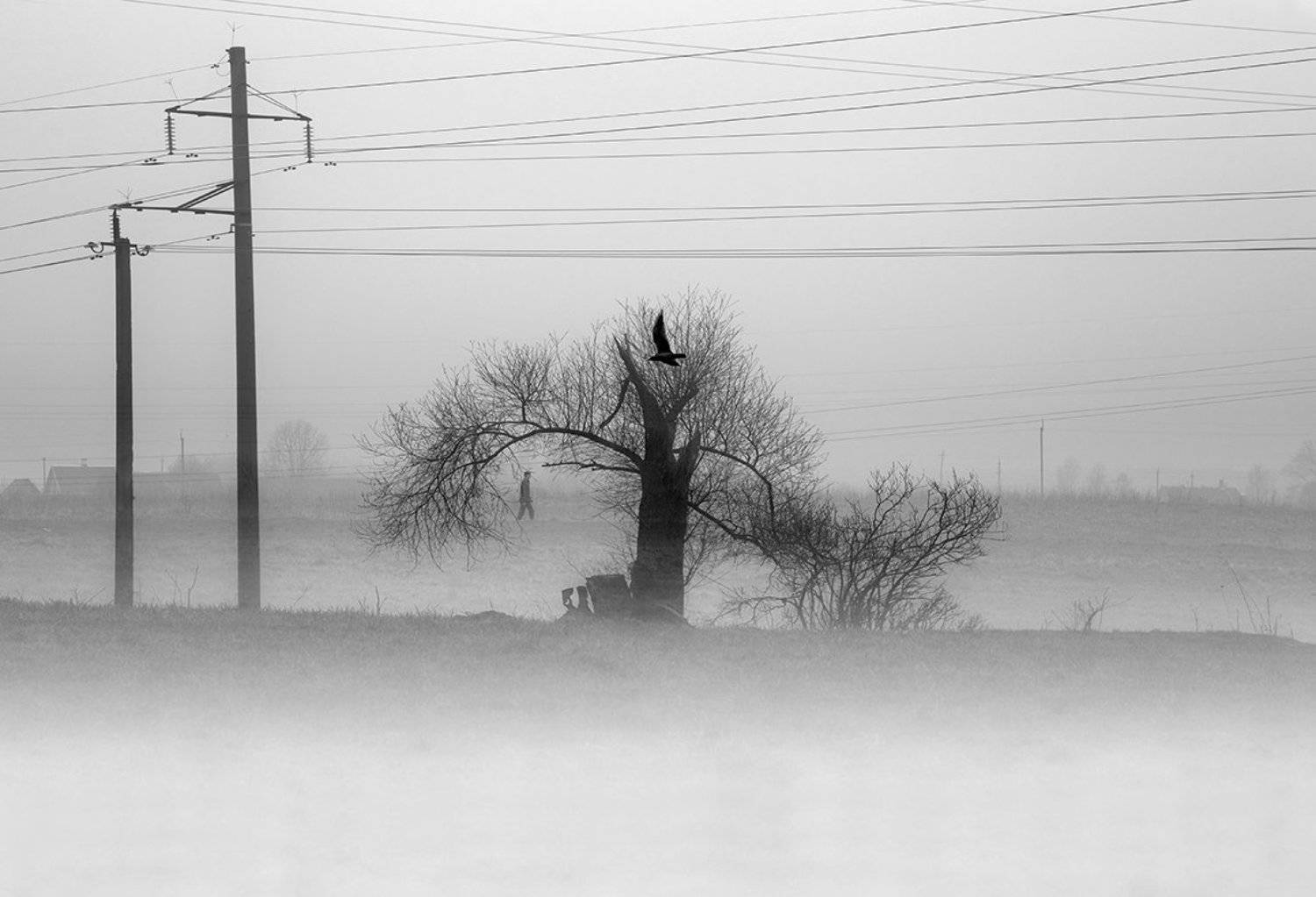 Автор: Анна Кудрявцева , Анна Кудрявцева