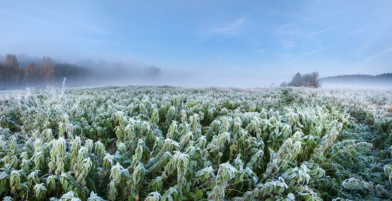 Заиндевелое утроphoto preview