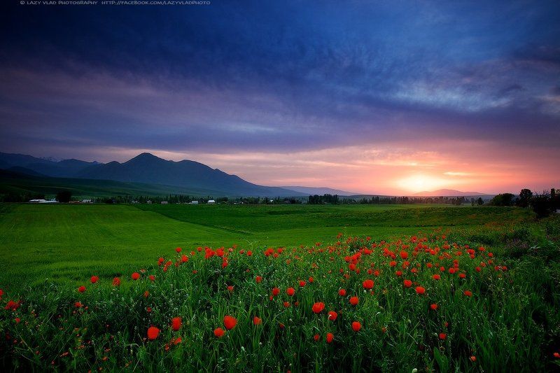 киргизия, ала-тоо, горы, май, lazy_vlad, lazyvladphoto, landscape, kyrgyzstan Время для медитацийphoto preview