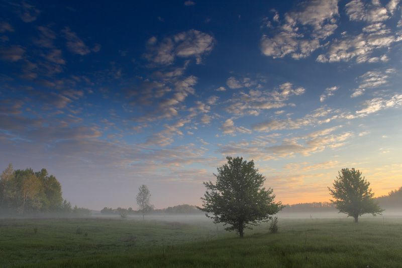 Рассветphoto preview