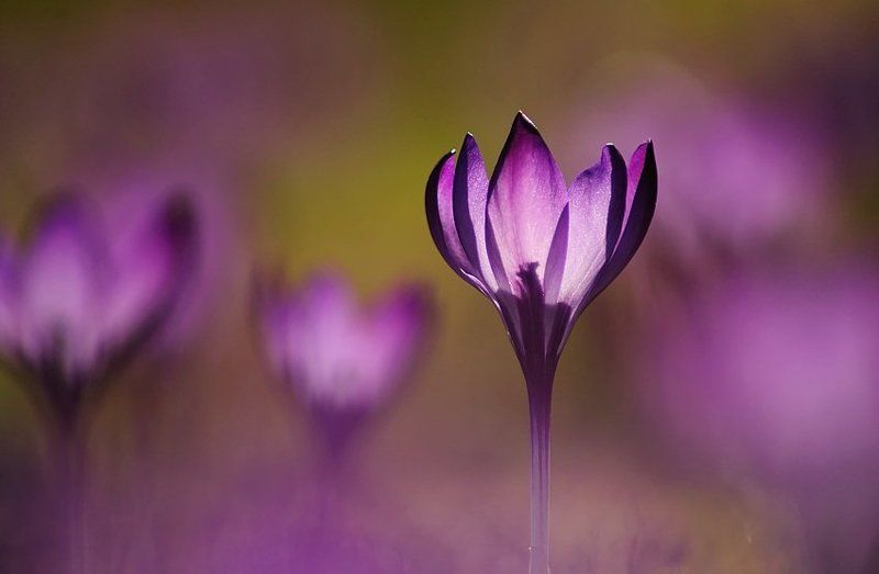 чашкаphoto preview