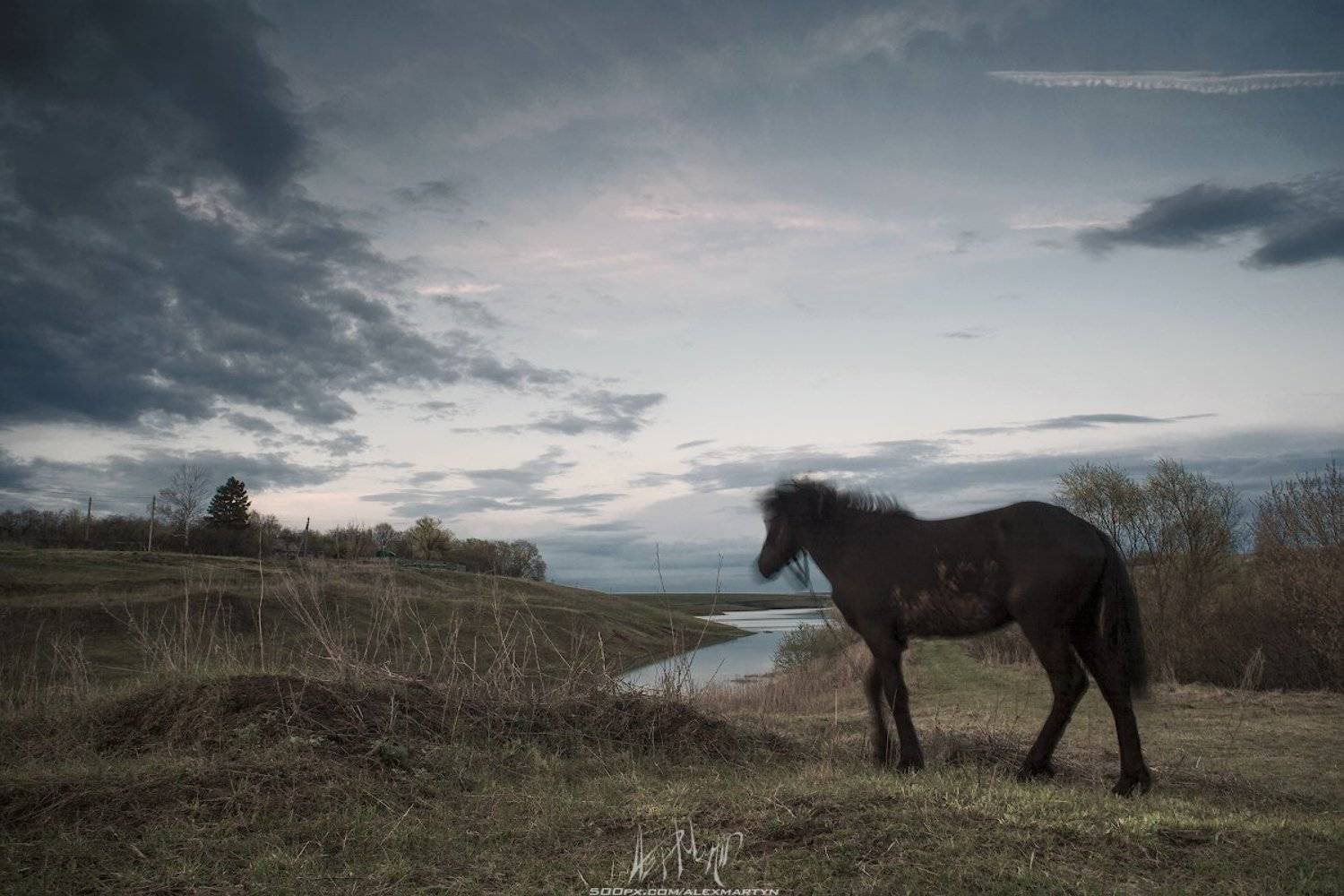 Движение, Живопись, Конь, Небо, Пейзаж, Поле, Простор, Тульскаяобласть, Александр Мартынов