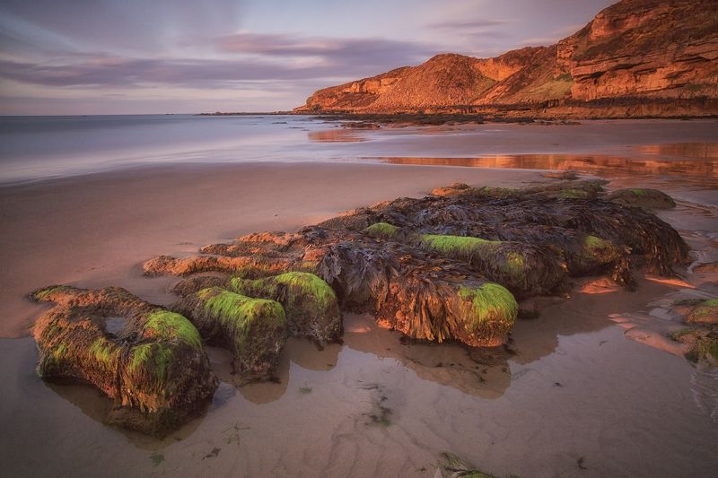 шотландия, scotland, moray, mc Морские ленивцыphoto preview