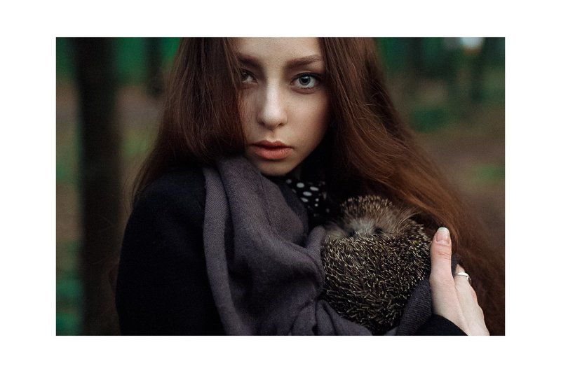 Hedgehogphoto preview