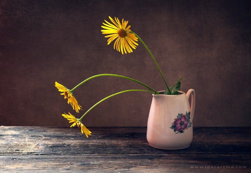 silencephoto preview