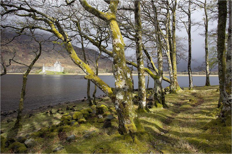 Kilchurn Castlephoto preview