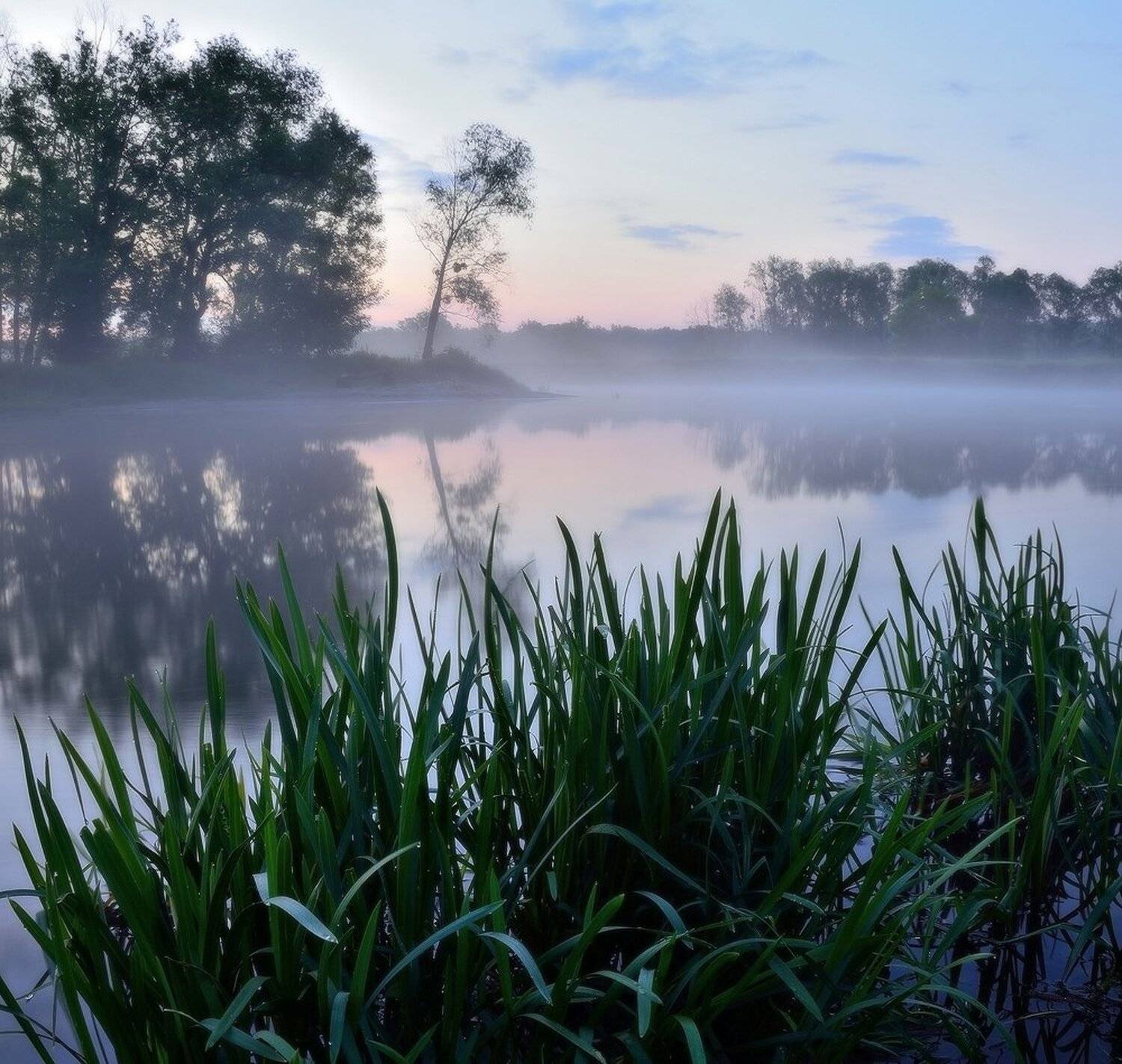, Животков Андрей