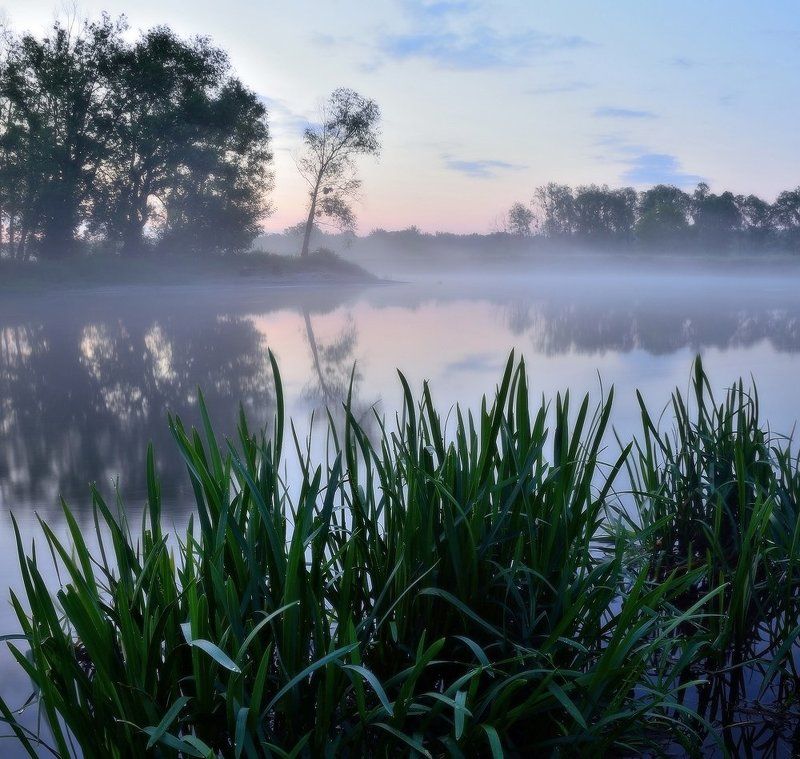 Голубое утроphoto preview