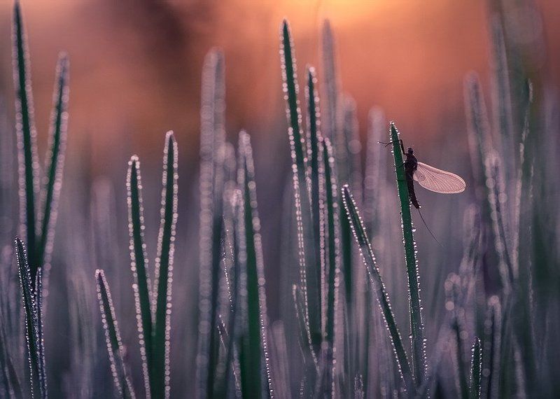 Зажигается.photo preview