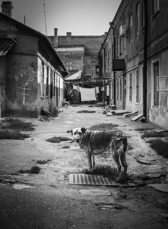 Добро пожаловать в Одессуphoto preview