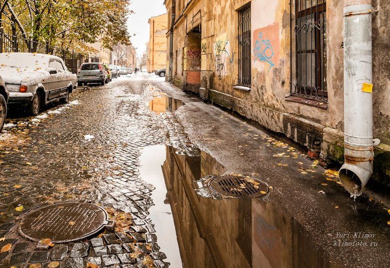 Однажды на улице Репина...photo preview