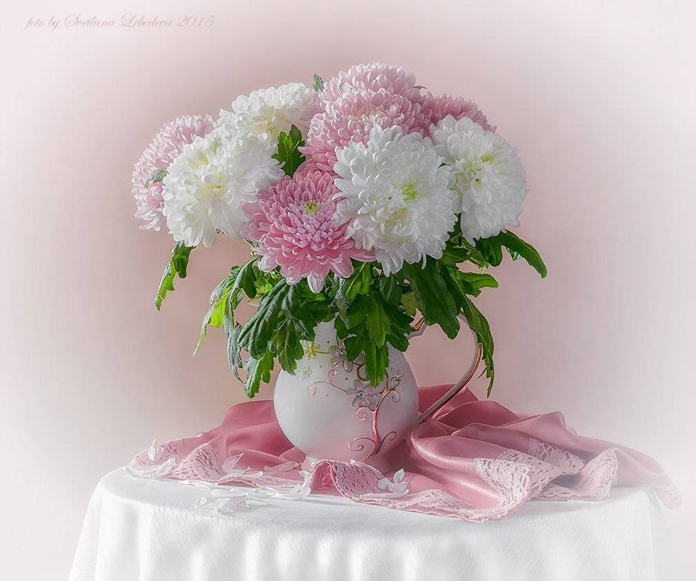 Нежность хризантем. Автор: Светлана Л. Букет, Хризантемы, Цветы, Светлана Л.