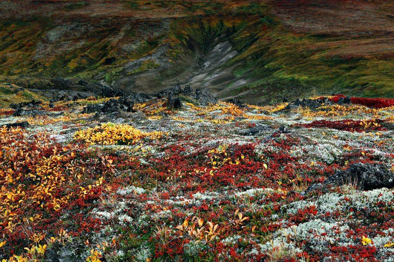 Ковер, ручная работа...photo preview