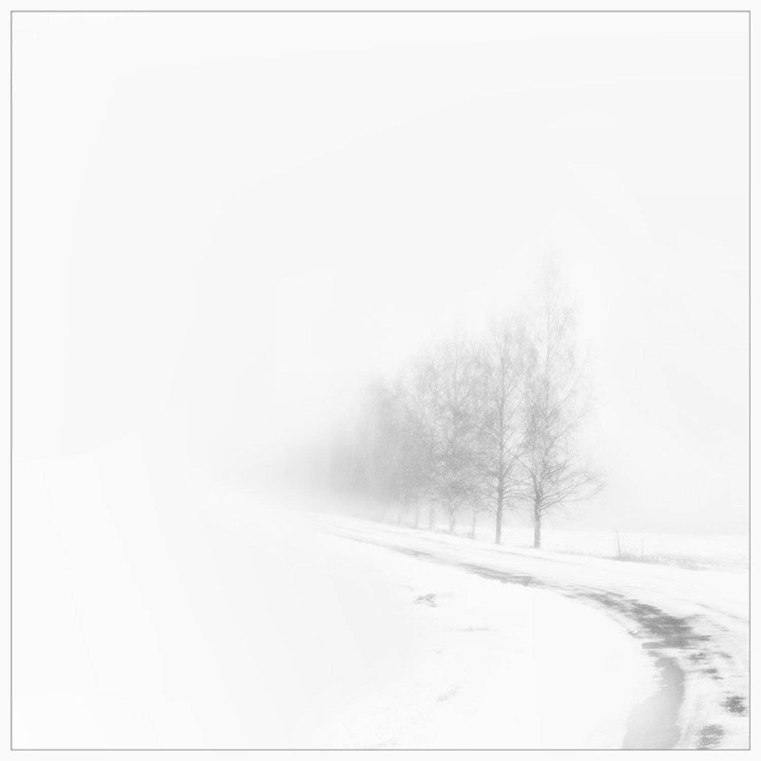 , Анна Кудрявцева