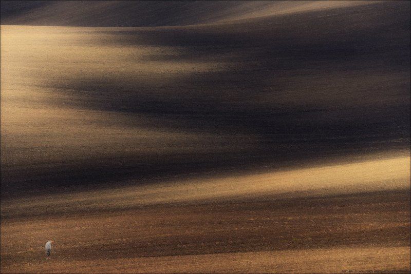 Czech, South Moravia, Геометрия, Линии, Моравия, Свет, Цапля, Чехия, Южная Моравия / Генерал песчаных карьеров /photo preview