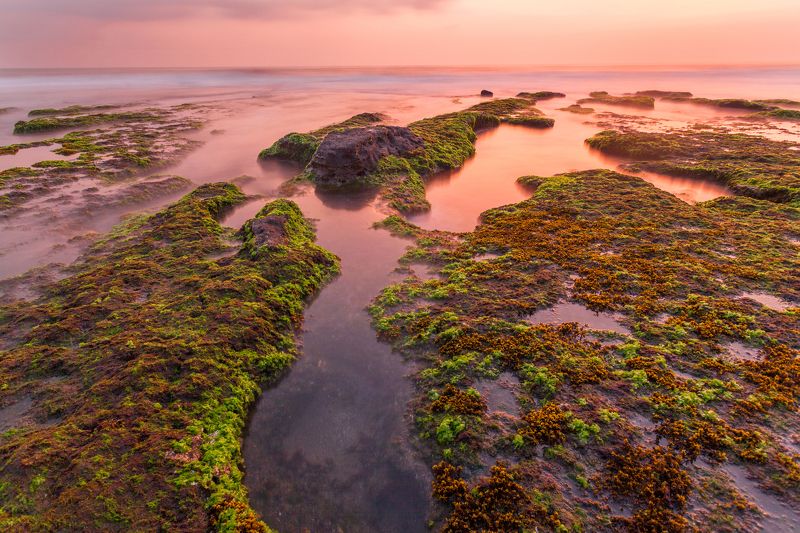 закат, пляж, отлив, небо, большая выдержка, океан, вода, цвета, свет, sunset, beach, Bali, Indonesia, Tanah Lot Temple, temple, low tide, water, ocean, colors, sky Отливphoto preview