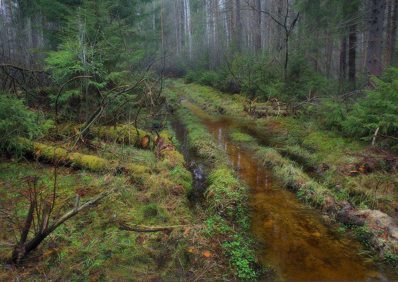 Ранневесенняяphoto preview