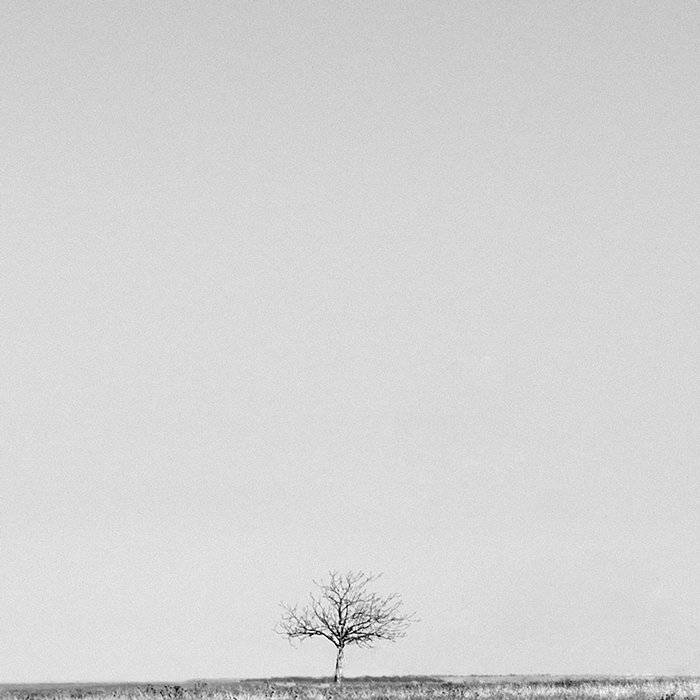 Автор: Артем , Артем