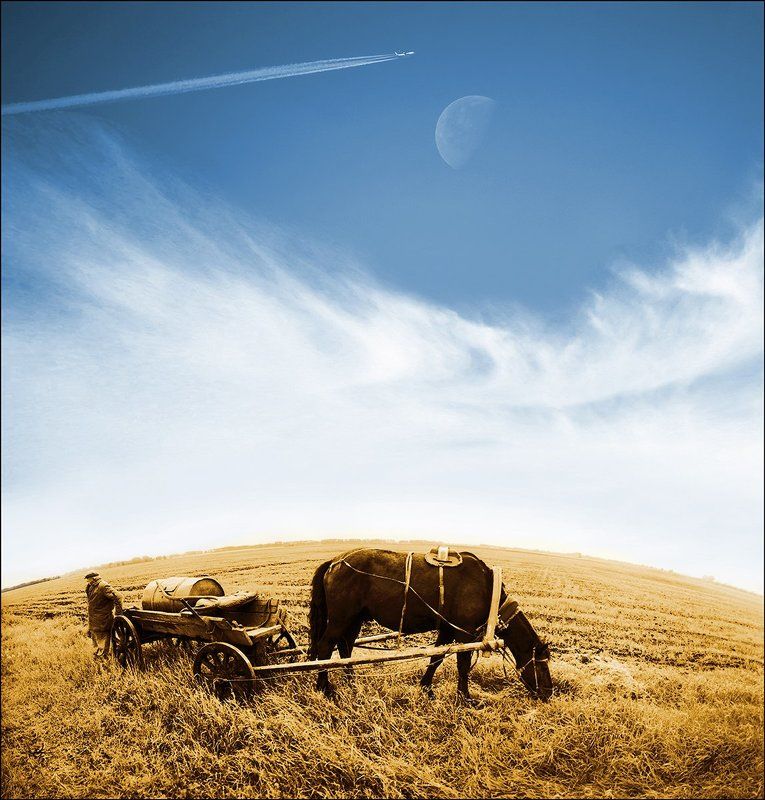 Лошадь водовоз, Луна, Небо, Самолет Чартер на Урумчи..photo preview