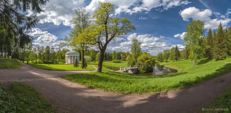 В Павловском парке ...photo preview