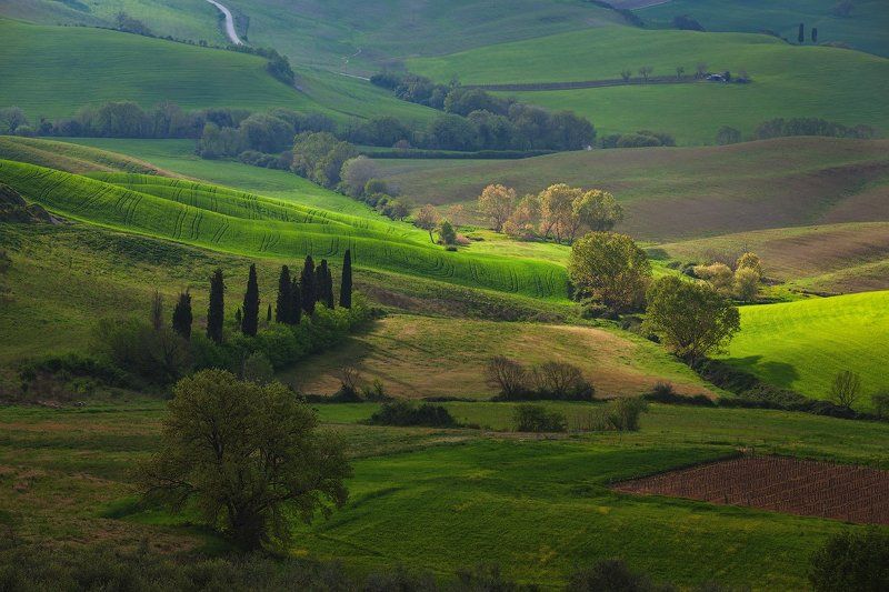 италия, тоскана, italy, tuscany, Тосканские мотивы.photo preview