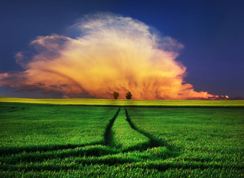 clouds, trees, green, landscape, panorama *photo preview