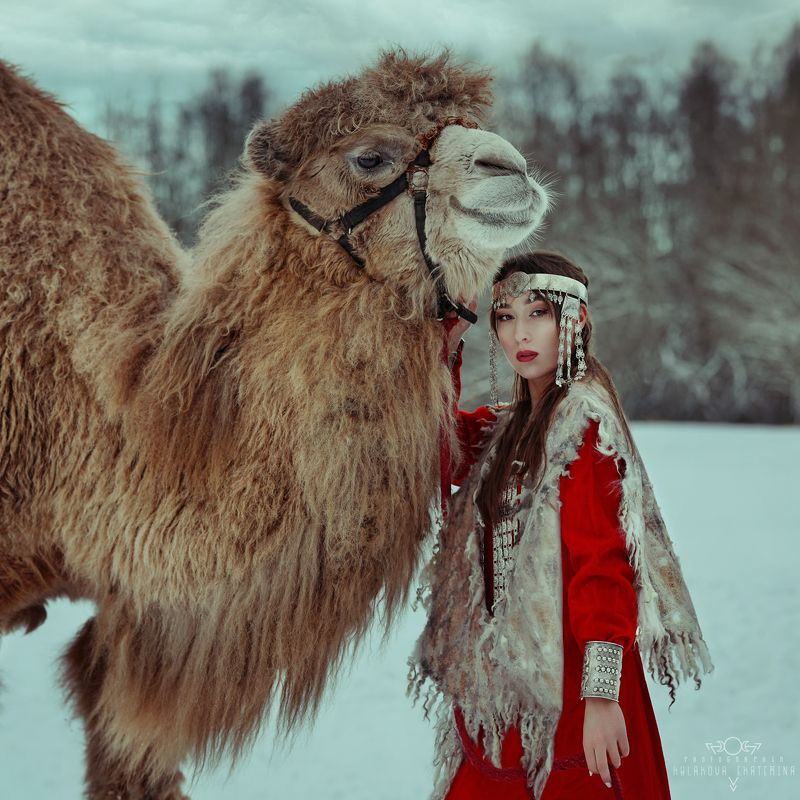 camel, якутский, этника, верблюд, зима, стиль, этно, ethnic, фотопроект Ethno historyphoto preview