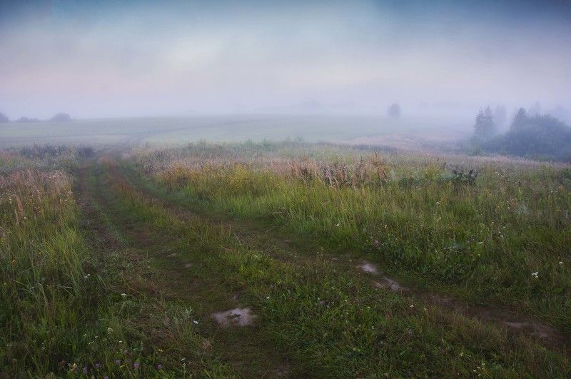 туман,лето,природа,пейзаж,россия,поля Утро туманноеphoto preview